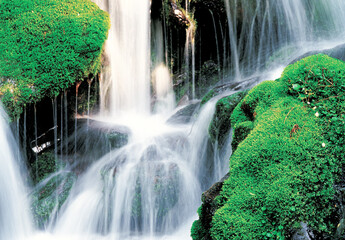 flowing stream in the mountain river