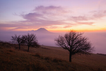 Fototapeta na wymiar Misty morning in Central Bohemian Highlands, Czech Republic.
