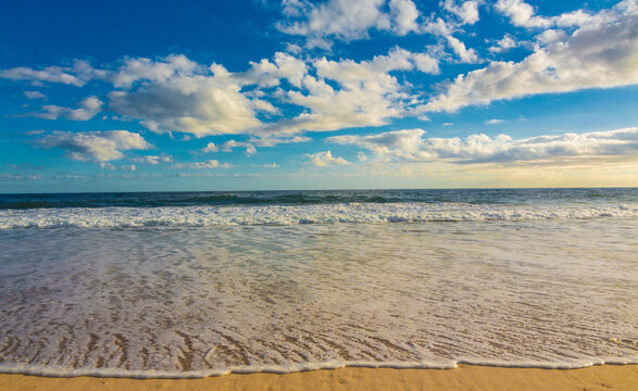 beachscape