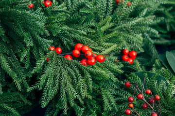 Detail of Christmas wreath with red berries