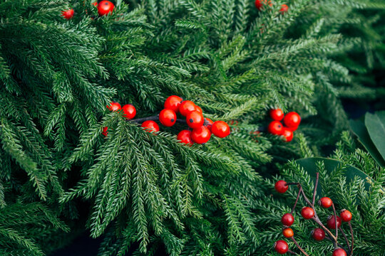 Detail of Christmas wreath with red berries
