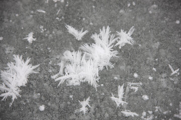 Antarctica very large snowflakes on a cloudy winter day