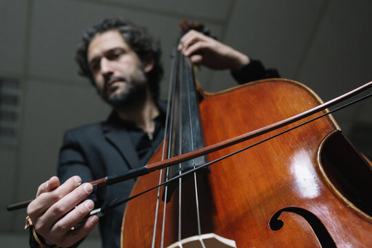 Portrait of double bass musician