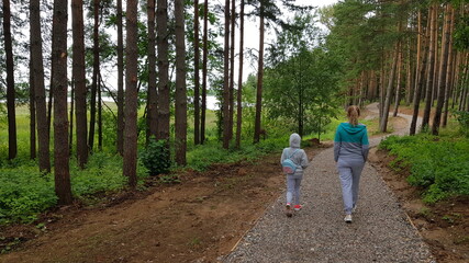 Fototapeta premium walk in the woods