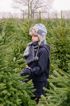 Choosing a Christmas tree on a winters day