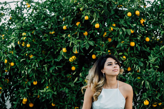 Portrait of a woman in front of an orange tree