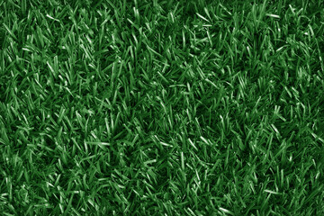 Top view of artificial dark green grass texture background.