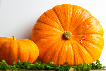 Two ripe pumpkins, large and small, close-up.