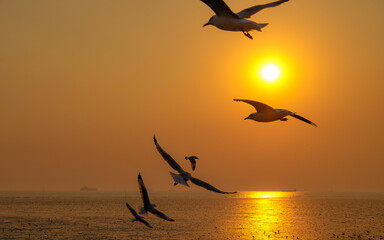 Fototapeta na wymiar Seagulls over the sea with sunset at Bang Pu recreation centre, Samut Prakan, Thailand