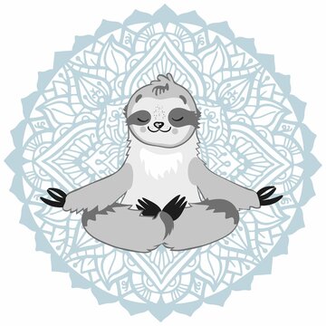 Download 98 Best Baby Sloth Images Stock Photos Vectors Adobe Stock