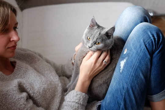 Kitten looking at camera