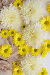 White and yellow chrysantemum flower, dahlia flat lay photo. Autumn flowers on white background, social media photo, commercial instagram photo