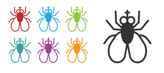 Black Insect fly icon isolated on white background. Set icons colorful. Vector.