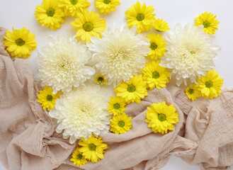 White and yellow chrysantemum flower, dahlia flat lay photo. Autumn flowers on white background, social media photo, commercial instagram photo