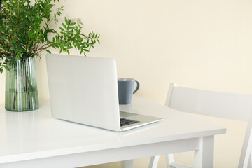Laptop, vase with plant and coffee on white table