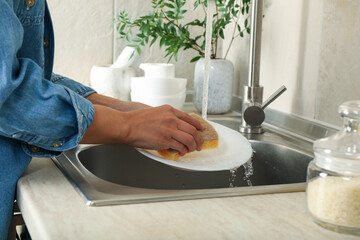 Woman washing a plate in the kitchen sink
