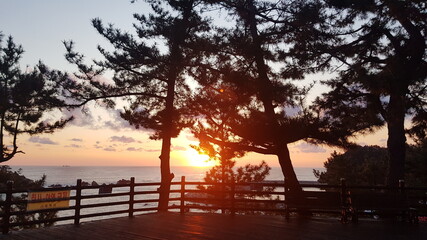 Fototapeta na wymiar sunset on the beach, trip to korea