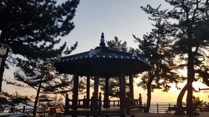 sunset in the park, trip to korea