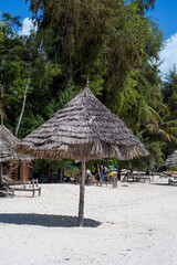 Beach paradise. Zanzibar, Tanzania
