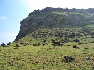 沖縄県･与那国島･アリシ