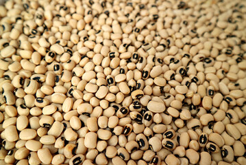 Heap of Dried Black-eyed Peas or California Blackeye for Sale at the Manama Souq, Bahrain