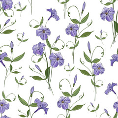 Vector seamless pattern with flowers purple petunias and leaves. Floral background for your design.

