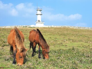 沖縄県･与那国島･東崎
