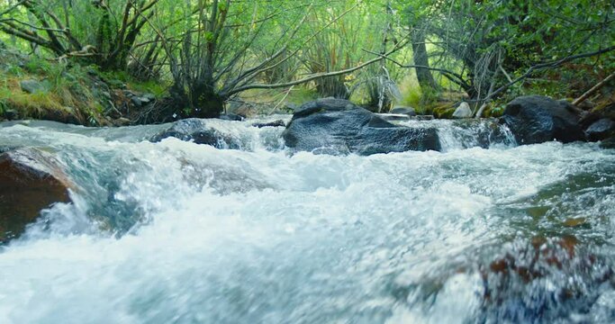 Slow motion mountain river flow. Rapid water flows between the wet stones in wooden forest with lavish green trees. Water splashes, drops and bubbles puled out of the mountain river