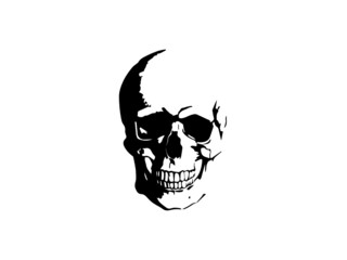 skull