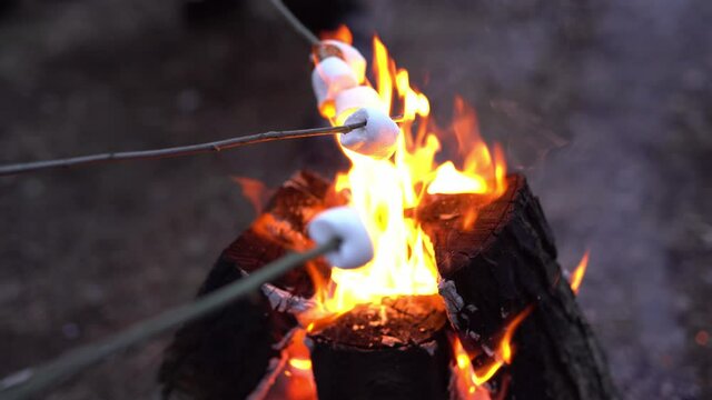 Hands of friends roasting marshmallows on stick over the bonfire