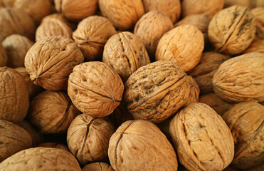 Heap of Dried Walnuts for Background or Banner