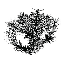 Imprint of a natural branch Christmas tree. Isolated silhouette on a white background. Suitable for New Year, Christmas, print, postcard, pattern, winter design. Botanical vector illustration.