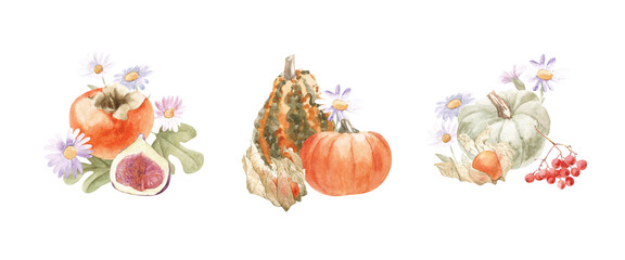 autumn compositions with watercolor pumpkins, autumn fruits and berries. Hand-painted illustrations are great for decorating packaging, greeting cards, invitations, promotional items.