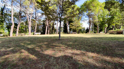 Naklejka premium Parco sul monte di colbordolo