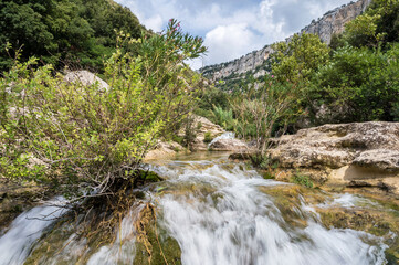 Fluss des Cava Grande fließt durch felsiges und bewachsenes Flussbett