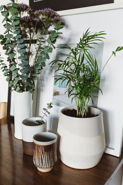 Modern decor collection of vases and pottery