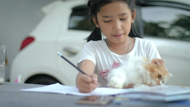 Little Asian girl hugging Persian cat, selective focus shallow depth of field