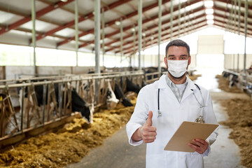 agriculture industry, farming and animal husbandry concept - veterinarian or doctor with clipboard wearing medical mask over herd of cows in cowshed on dairy farm showing thumbs up hand sign