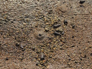 沖縄県･石垣島･名蔵アンパル