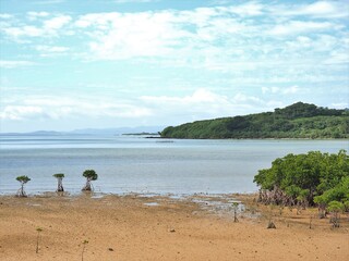 沖縄県･石垣島の風景
