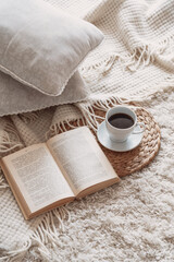 Cup of coffee with book on sofa in living room
