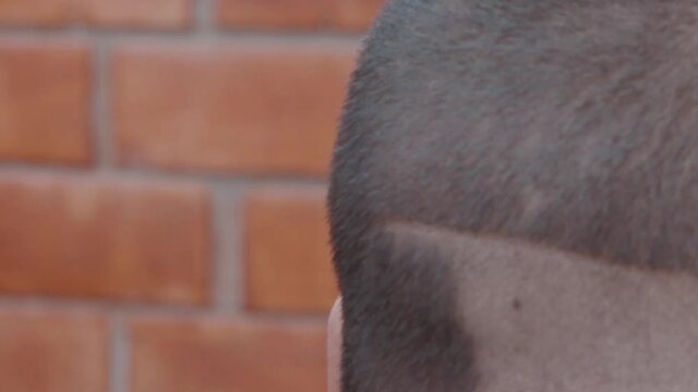 Barbero usando maquina para afeitar cabeza de modelo