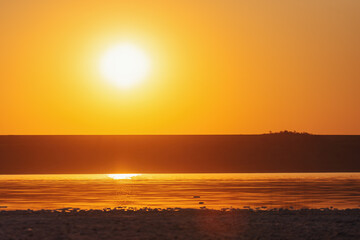 Sunset river horizon silhouette branch landscape. River sunset horizon