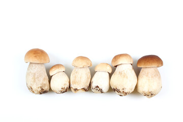 Fresh Boletus edulis mushroom (English: penny bun, porcini, king bolete or cep) isolated on white background. Flat lay. Close up.