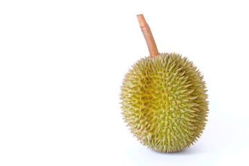 Durian as a king of fruit in Thailand.  It has strong odor and thorn-covered rind.