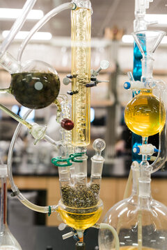 Beer brewing chemistry process display