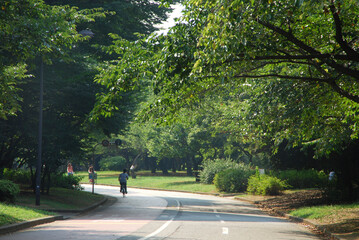 駒沢公園（東京都世田谷区）