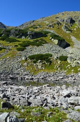 Okresowe jeziorka, Staw Staszica w Dolinie za Mnichem, Tatry © Ewa