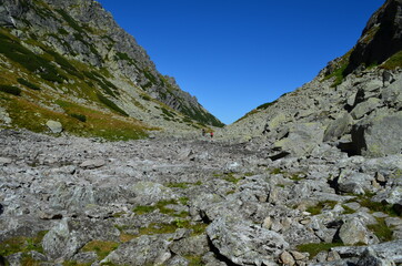 Fototapeta na wymiar Szlak na przełęcz Wrota Chałubińskiego, Tatry