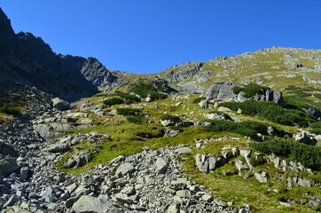 Fototapeta na wymiar Tatry, widok na Szpiglasową Przełęcz z Doliny za Mnichem, latem